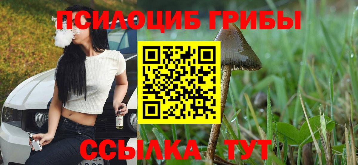 Псилоцибиновые грибы Magic Shrooms  Псилоцибиновые грибы Psilocybe  магазин    Новочебоксарск  Вход с VPN 