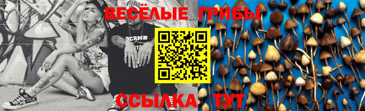 Псилоцибиновые грибы мицелий Новочебоксарск